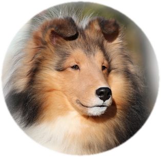 支部長あいさつ